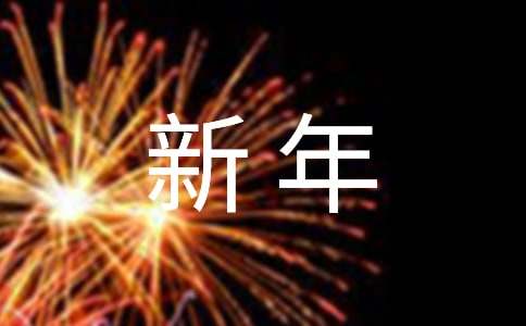 年终总结及新年计划